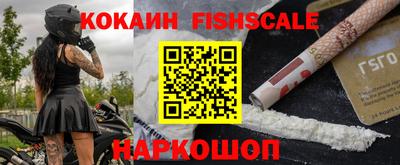 шишки Кингисепп