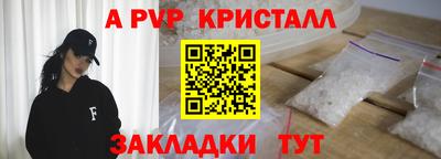 шишки Кингисепп