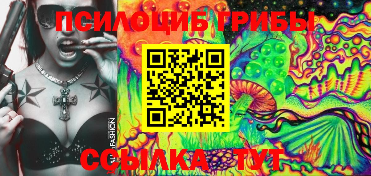 Черкесск  наркотики  Вход с VPN  Галлюциногенные грибы Magic Shrooms  Псилоцибиновые грибы мицелий 